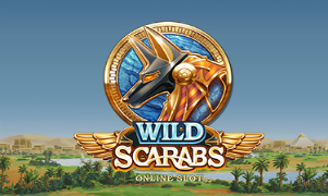 Wild Scarabs